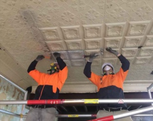 apm-carlton-house_opt_1016501188