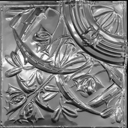 apm gandiflora curve 6x6