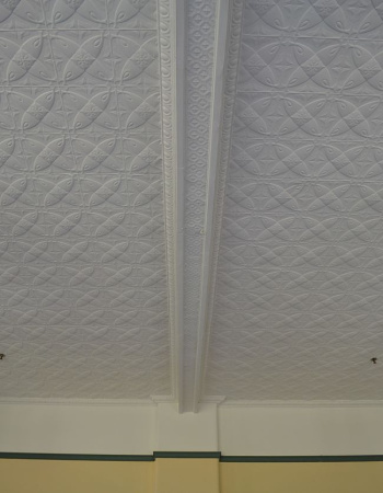 apm camellia white ceiling 2 opt