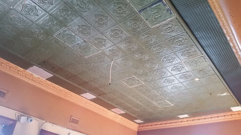 apm dudley ceiling opt