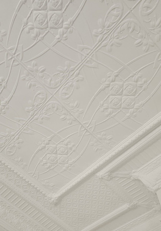 apm_myrtle_bank_ceiling_2