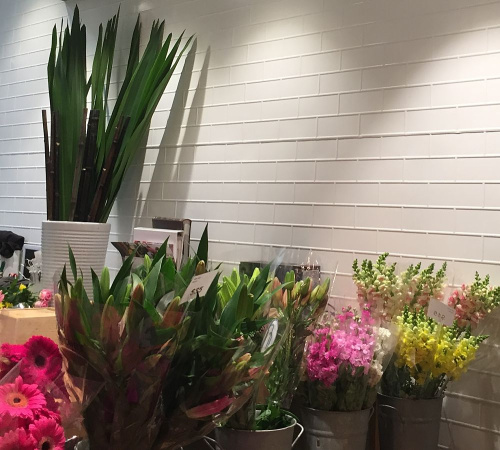 apm white brick wall opt