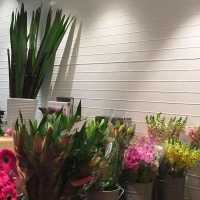 Apm White Brick Wall Opt