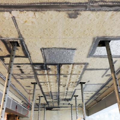 Apm Apm Carlton House Restoration